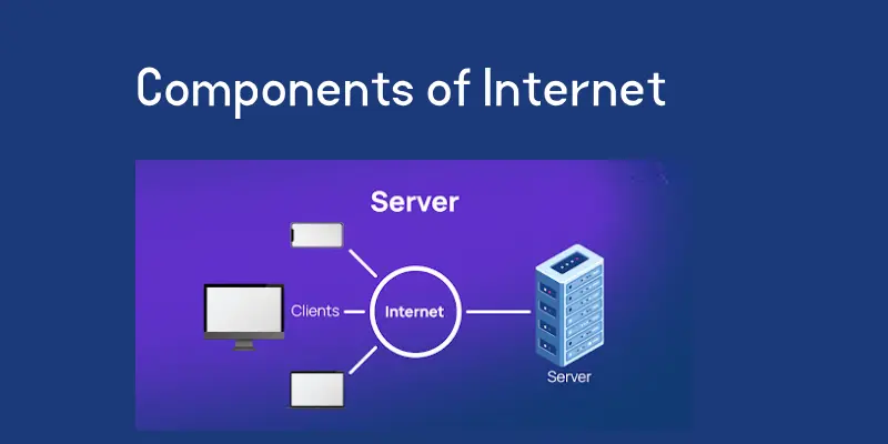 Components Of Internet Components of internet