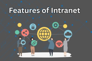 Features of Intranet – Smart Search