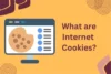 What Are Cookies and How Do They Affect Your Privacy? - Post Thumbnail