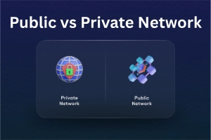 Public vs Private Networks – Which One Is Right for You